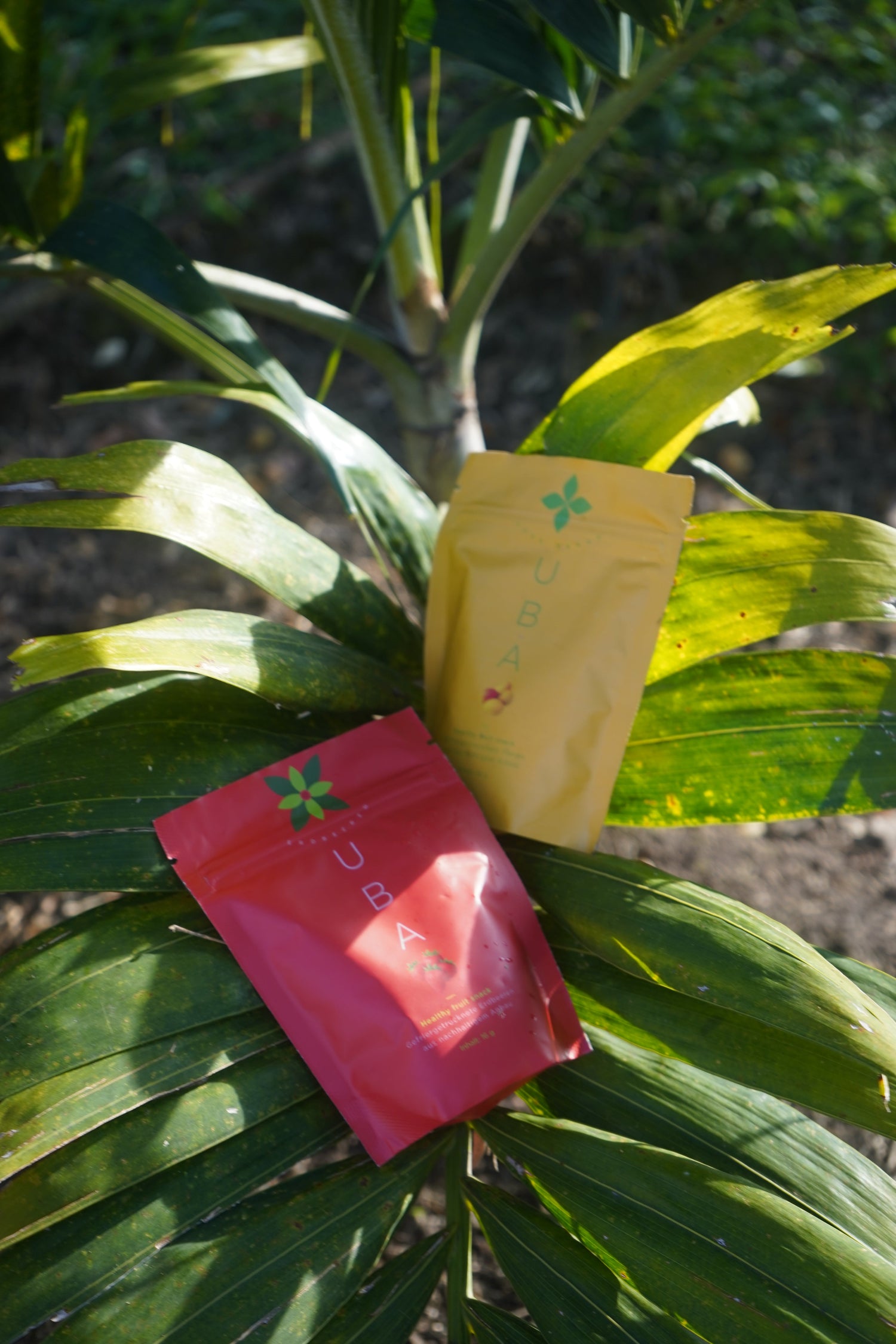 Gefriergetrocknete Früchte