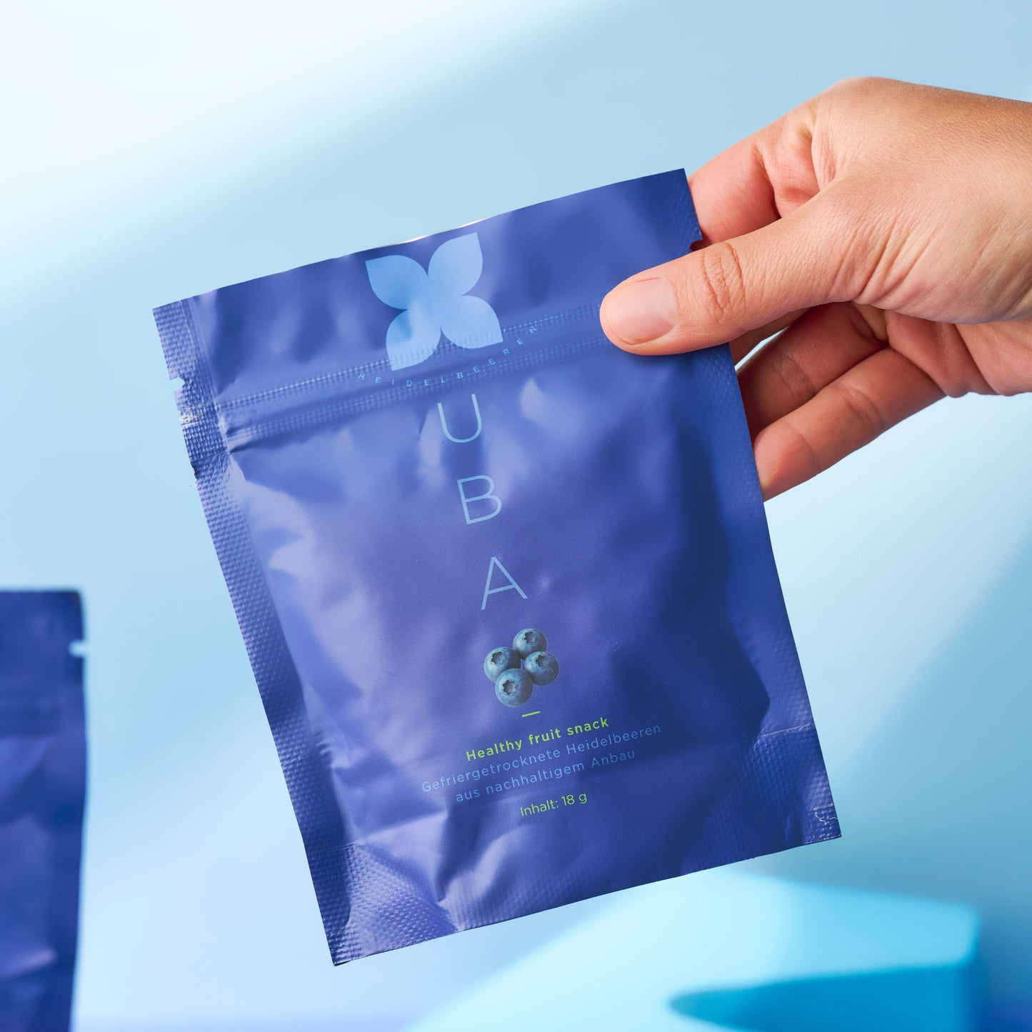 Gefriergetrocknete Heidelbeeren