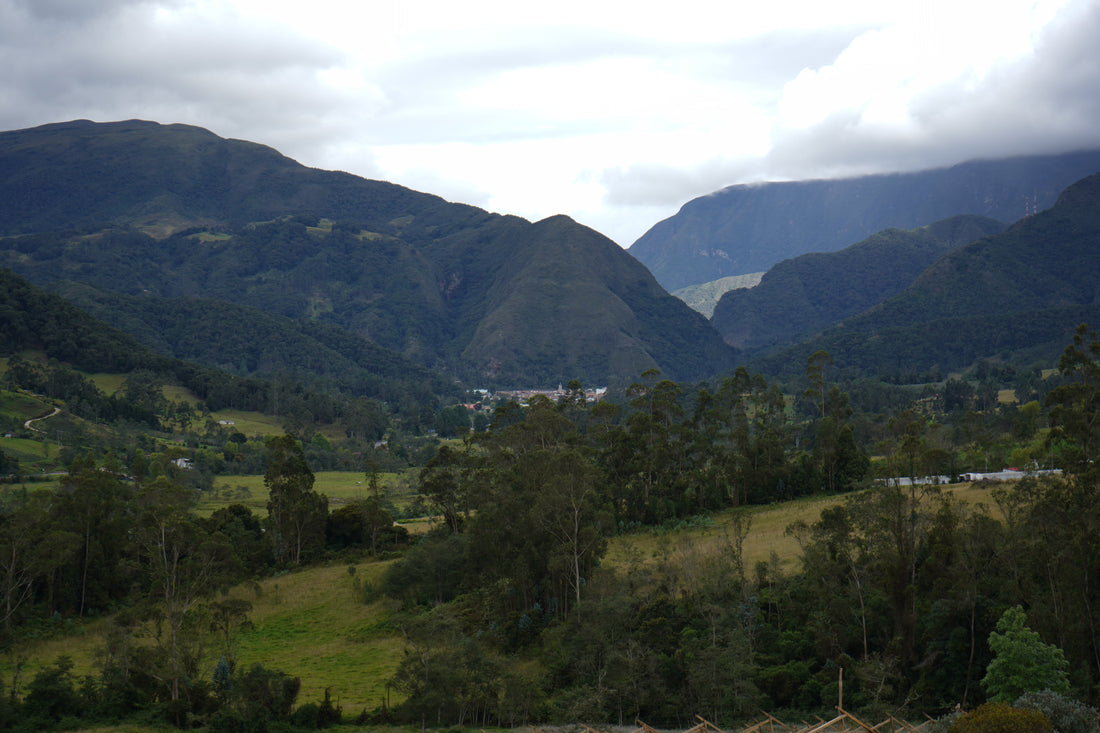 Von der Ernte bis zur Tüte: Wie wir gefriergetrocknete Früchte herstellen – und warum sie so außergewöhnlich sind