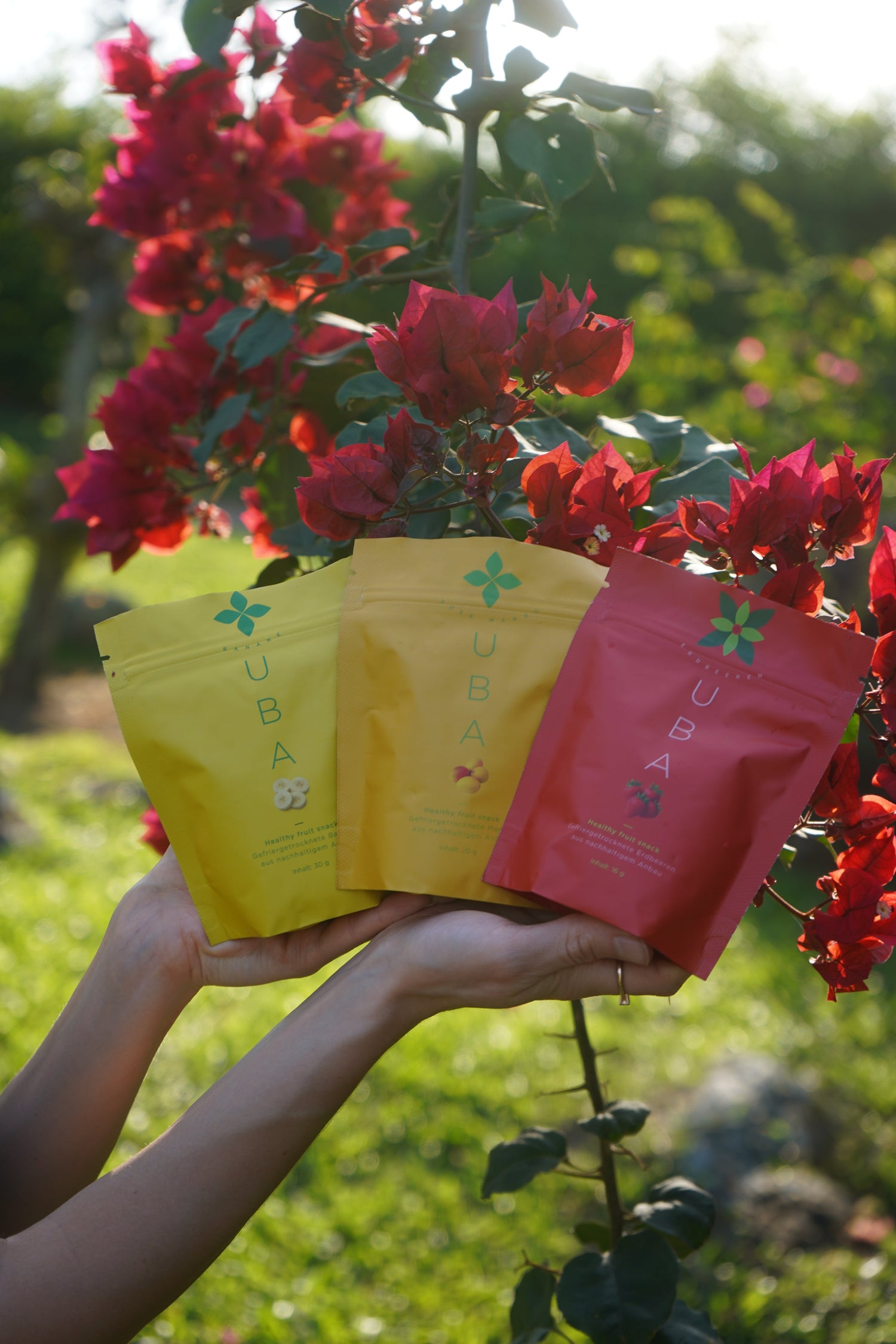 Gefriergetrocknete Früchte Sets - Mix