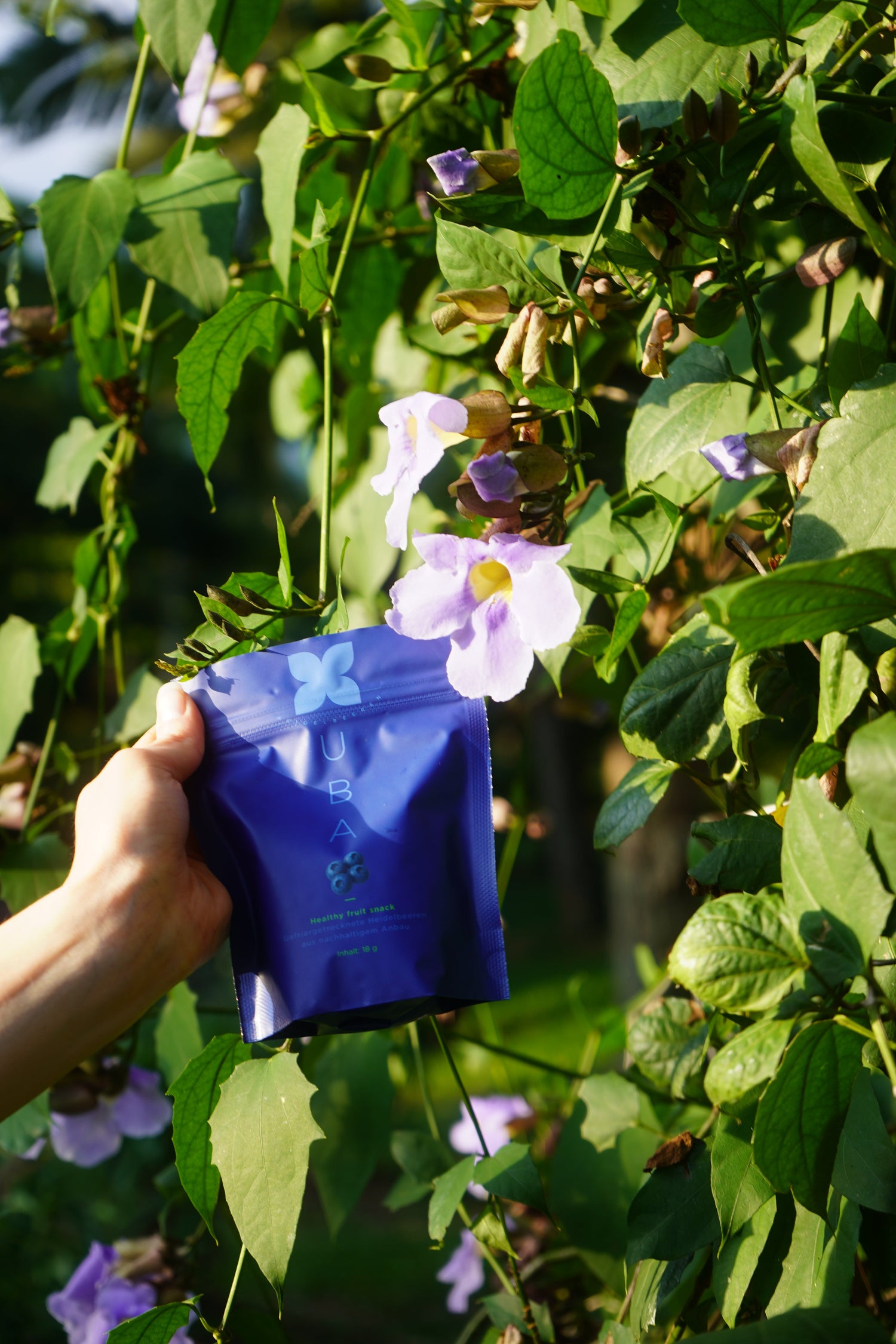 Gefriergetrocknete Früchte Sets - Einzel Geschmack