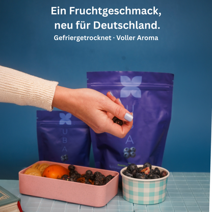 Kennenlernen Set 3 - 12 Stück | Heidelbeeren, Erdbeeren & Ananas | 3 Sorten