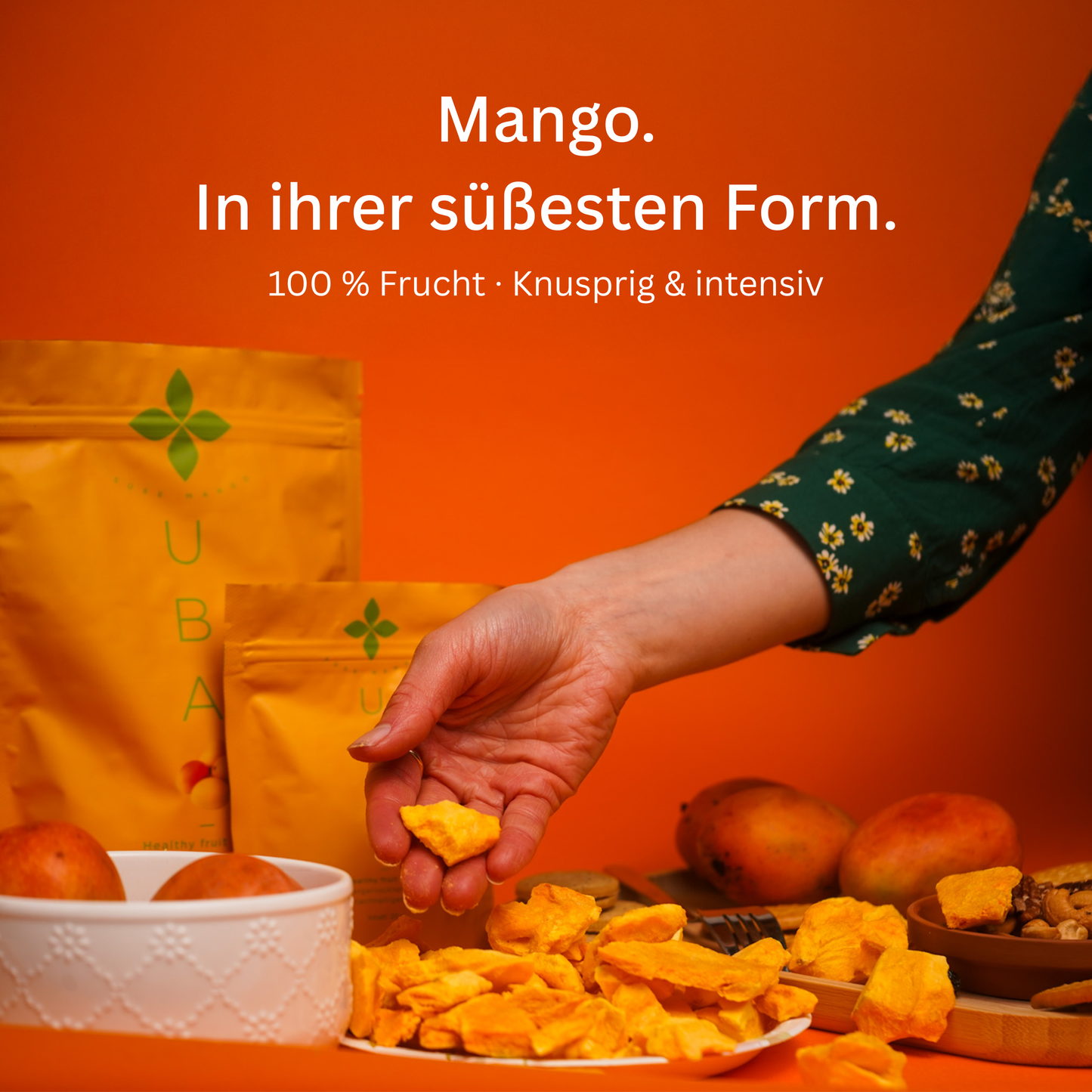 Crunchy gefriergetrocknete Frucht-Snacks – Sparpack in Großpackung | 6 Sorten