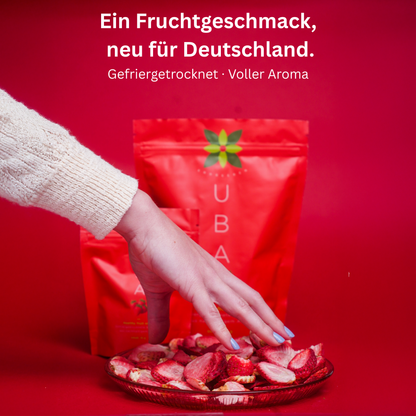 Crunchy gefriergetrocknete Frucht-Snacks – Sparpack in Großpackung | 6 Sorten